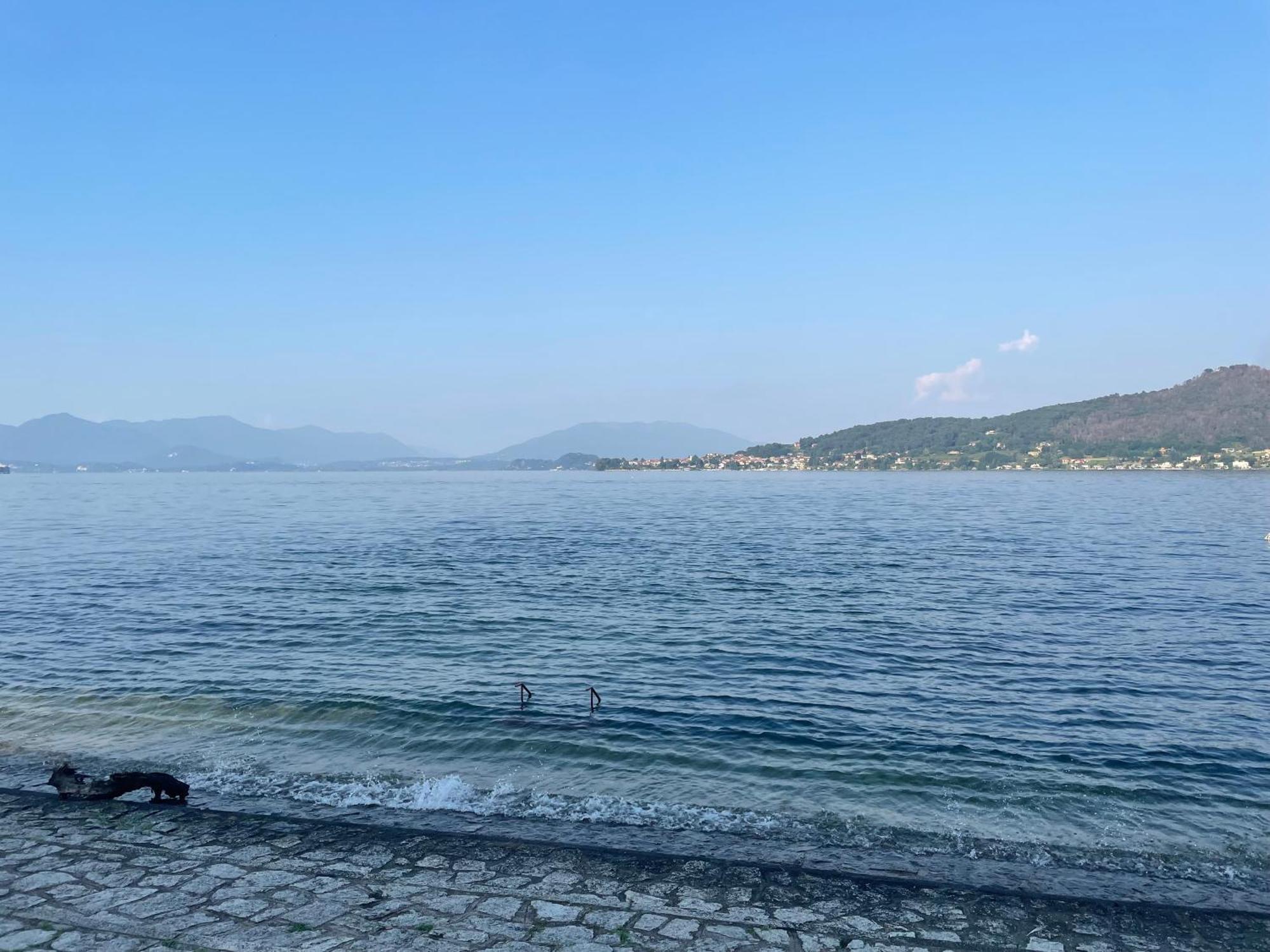 Appartamento Sul Lago - Meina Zewnętrze zdjęcie